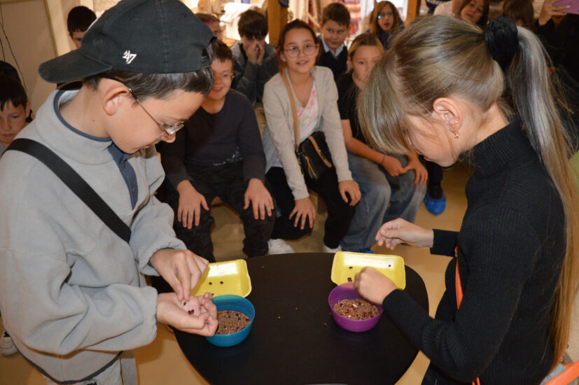 Учащихся гимназии № 1 имени Н. И. Феропонтова на экскурсии в музейно-этнографической школе