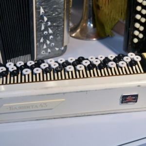 Баянита-43